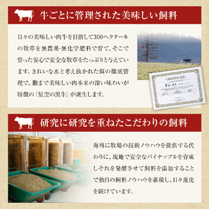 ＜期間限定・ソーセージ1袋付（お試し品）＞北海道産星空の黒牛 厳選5種BBQセット1kg　|  BBQ