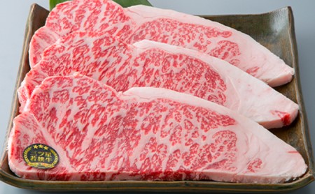 父の日 若狭牛 定期便 3ヶ月 三ツ星若狭牛満喫コース1 高島屋 選定品 ロース すき焼き すき焼き肉 カルビ 焼肉 焼き肉 BBQ バーベキュー サーロイン サーロインステーキ ステーキ肉 黒毛和牛 牛肉 牛 肉 お肉 食べ比べ 冷凍 冷凍配送 定期 3回