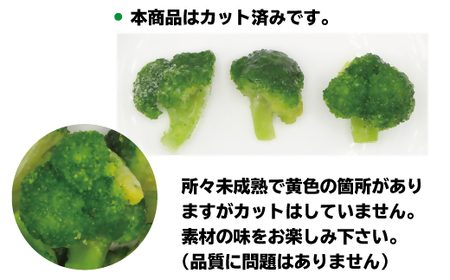 福岡県産 冷凍ブロッコリー1kg（1kg×1袋）[H2256]