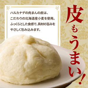 たけのこ入り国産小麦の手作り肉まん6個セット 「京都山城産」たけのこ入り 豚バラブロック 手作り 国産小麦 肉まん にくまん たけのこ おやつ 軽食 パン工房　Haru-Kanade　ハルカナデ  061-01