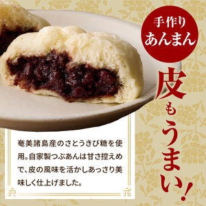 国産小麦の手作り肉まん・あんまんセット6個入[各3個] 「京都山城産」たけのこ入り 豚バラブロック肉入り 肉まん 北海道産小麦 にくまん 肉まん  北海道産小麦 北海道産小豆 あんまん 自家製つぶあん きび糖 甘さ控えめあんこ 国産小麦 冷凍 肉まん３個 あんまん３個 軽食 おやつ 061-02