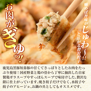 a442 鹿児島黒豚「短鼻豚」無添加餃子セット96個【鹿児島ますや】ギョーザ 餃子 無添加 惣菜 おかず おつまみ 冷凍 黒豚 国産野菜 ぎょうざ