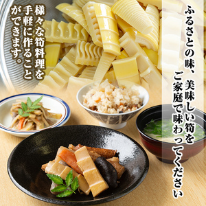 a530 《先行予約受付中！2026年6月以降順次発送予定》数量限定！黄金北山筍(小)250g×6本合計約1.5kg【北山校区コミュニティ協議会】国産 鹿児島県産 たけのこ タケノコ 水煮 野菜 瓶 瓶詰め 小分け