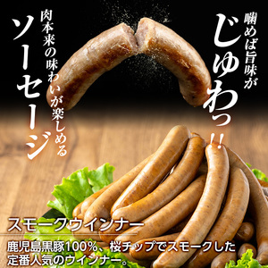 a622-A  鹿児島黒豚「短鼻豚」無添加スモークウィンナー500g(100g×5パック)【鹿児島ますや】国産 ウィンナー 無添加 ウインナー ソーセージ 冷凍 黒豚