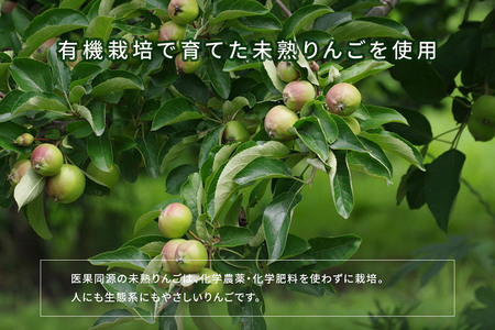 医果同源未熟りんご入り りんごジュース紙パック（1000ml×3本入）