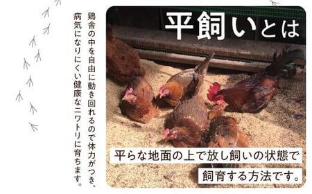 森のたまご農園 平飼い卵 24個 たまご 飛騨高山  LW005