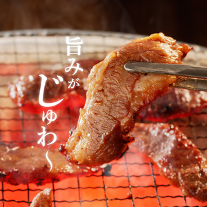 【宮崎産】豚ハラミ・サガリタレ漬け500g(3～5人前) N061-YA0455