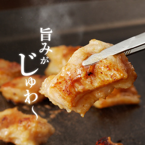 【宮崎産】豚直腸(ホルモン)タレ漬け500g(3～5人前) N061-YA0456