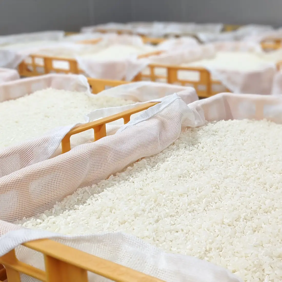 【鮮度抜群！冷凍便でお届け！】北海道産米のやわらかな生こうじ 2kg