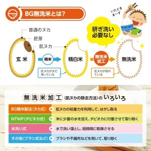 SD0265　令和7年産【無洗米】つや姫、雪若丸　計10kg(5kg×2袋) TO