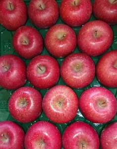 A027 ご褒美＊フルーツ定期便（12回） 