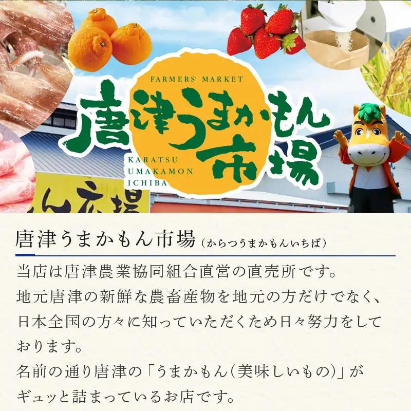 『先行予約』【令和8年8月中旬発送予定】甘みがギュッ!と詰まったシャインマスカット 2kg (約3～5房) 化粧箱 フルーツ 果物 ギフト
