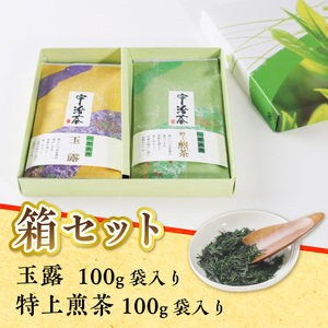 生粋の宇治茶詰合せ(玉露100g・特上煎茶100g) 銘茶 お茶 宇治茶 緑茶 玉露 煎茶 【uj-AW001】【合資会社松阪屋嘉八本店】