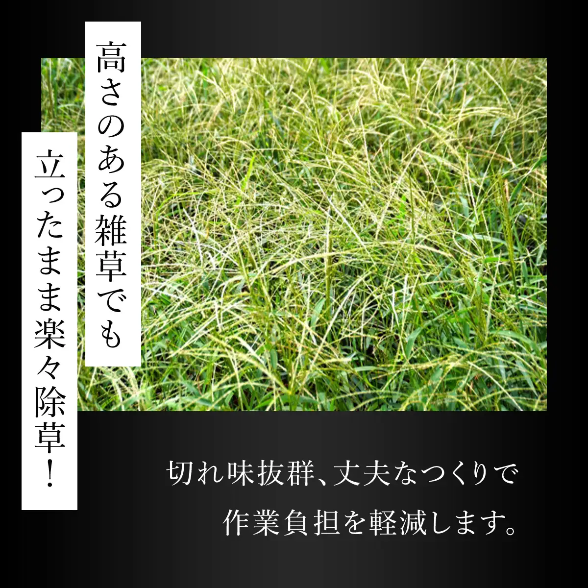 鍛造農具 ねじり鎌（長柄付） ANF002