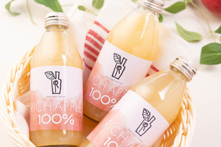 りんごジュース RICH APPLE 30本セット（250ml×30本）
