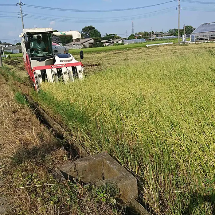 コシヒカリ　玄米10kg 埼玉県産　鴻巣市　川里　アサヒ農研　単一原料米　送料無料 No.075