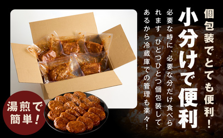 【温めるだけ】ハンバーグ 20個×140g 特製デミグラスソース