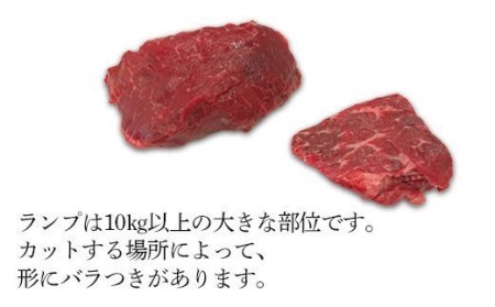 76-57B新潟県産牛（長岡産）サーロインステーキ450g＆ランプステーキ2枚（計300g）