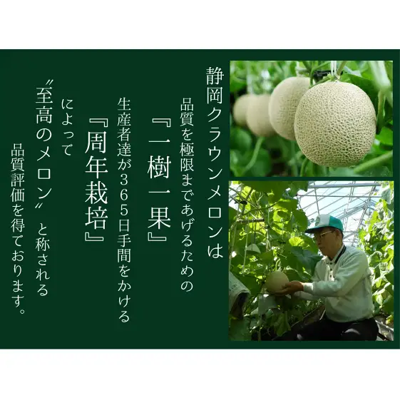 【3ヶ月定期便】クラウンメロン（山等級）１玉入 