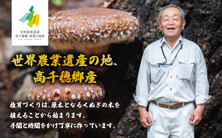 【3ヶ月定期便】 乾燥しいたけ 240g（40g×6袋）×3回 720g しいたけ 定期便 定期 定期的 国産 宮崎県産 原木 栽培 乾燥 干し椎茸 原木椎茸 国産しいたけ 小分け 袋 小袋 普段使い 使い勝手 使い切り 肉厚 旨み 香り グルメ お取り寄せ 宮崎県 高千穂町 _Tk004-t042