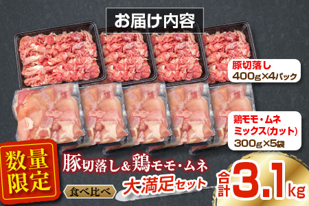 数量限定 豚肉 切り落とし 鶏肉 モモ ムネ セット 合計3.1kg_BDV2-26