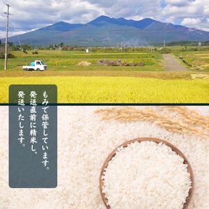 信州 長野県産 特A こしひかり 10kg 田端さくら米 コシヒカリ 新米 令和7年産
