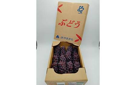 《先行予約 2026年度発送》デラウェア 2kg 8～20房 FSY-0504