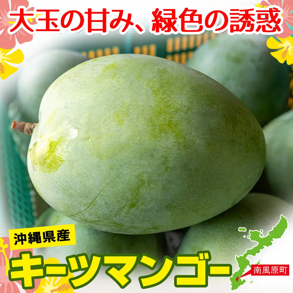【2026年発送】沖縄県産キーツマンゴー2kg