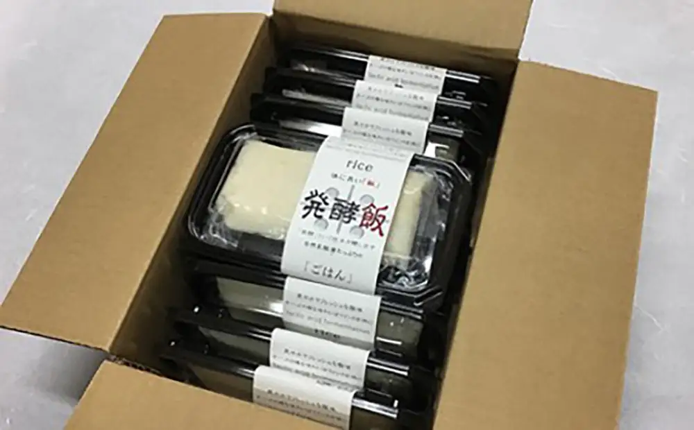 発酵飯10個【100g×10p】【AD24W】