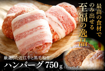 ハンバーグ 近江牛 プレミアム 750g (約 150g × 5個 ) ブランド 牛肉 黒毛和牛 【Y095W】
