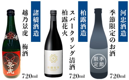 A0-34Bえちご長岡地酒まんきつ10本＋仕込み水4本セット