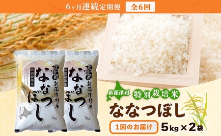定期便 6ヵ月 北海道 特別栽培 令和7年産 ななつぼし 10kg 精米 米 白米 お米  ごはん ご飯 ライス 道産米 ブランド米 新しのつ米 ふっくら 食味ランキング  産地直送 カワサキ森田屋 送料無料 新篠津  