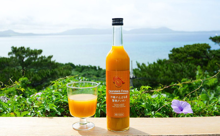 沖縄の贅沢ジュース 12本 （青切シークヮサー・黄金シークヮサー・タンカン 各4本）KS1008 