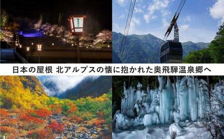 奥飛騨温泉郷宿泊割引券 10,000円分  | 観光 宿泊券 GB004