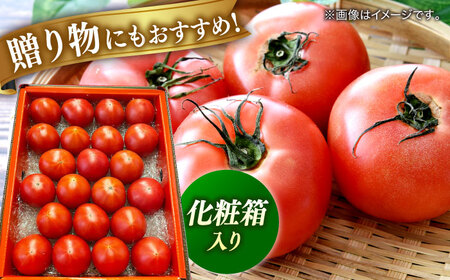 【先行予約】特選 徳谷トマト 約2kg 生産者52番 〈2026年1月中旬?2026年6月下旬頃発送〉/ トマト フルーツトマト 【フルーツショップオザキ】[ATAH014]