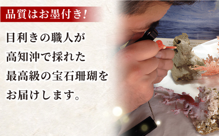 【特級】赤珊瑚本連数珠 / 数珠 珊瑚数珠 お守り 仏教 [ATAR012]