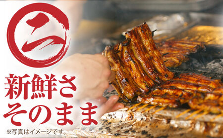 高知県産 うなぎ蒲焼き 約90g×2尾 タレ付き / うなぎ 鰻 ウナギ 国産うなぎ 【株式会社 四国健商】 [ATAF064]