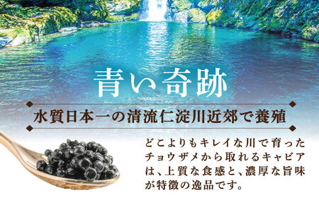 高知産熟成キャビア 約30g (化粧箱) シェルスプーン付Black Jewel 【興洋フリーズ株式会社】 [ATBX010]