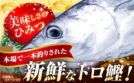 本場土佐の『鰹の藁やきたたき』1.5節~2節 約700g /かつお カツオ 鰹のタタキ  [ATAE001] 