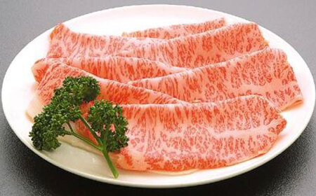 土佐黒毛和牛　ロースしゃぶしゃぶ用　約500g / とろけるやわらかさ 和牛 高知県産 国産和牛 牛肉 黒毛和種  【（有）蔵多堂】 [ATAE006]