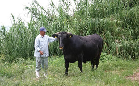 オリーブ牛 モモしゃぶしゃぶ 小豆島 黒毛和牛