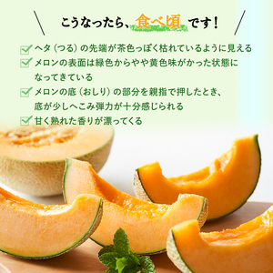 【令和8年産】 【糖度限界突破】ふらの 赤肉メロン Lサイズ（約1.7kg/玉）2玉 北海道 富良野 上富良野町 ふらの 赤肉 メロン フルーツ 果物 デザート メロン赤肉