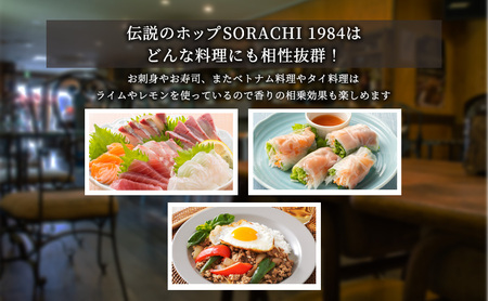 ◆6ヶ月定期便◆上富良野町発祥！伝説のホップ「ソラチエース」使用【SORACHI 1984】350ml×12缶 北海道 上富良野町 ソラチ1984 お酒 酒 飲み物 ビール 地ビール サッポロビール サッポロ ギフト 