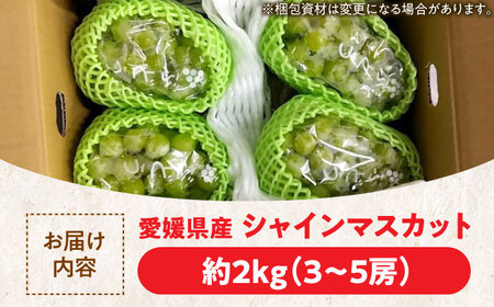 シャインマスカット約2kg シャインマスカット [AGBN006] | 愛媛県大洲