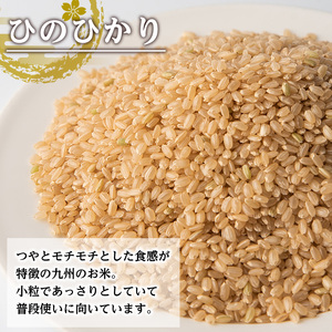 鹿児島県 出水市産 ひのひかり 玄米 (計6kg・3kg×2袋) お米 ごはん ご飯 【田上商店】 i504