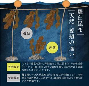 羅臼昆布 天然 1等 （LLサイズ430g×1個)  ｜ 昆布 北海道 