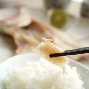 海鮮干物 5種 詰め合わせ セット アジ イワシ ニギス 連子鯛 干物セット 一夜干し