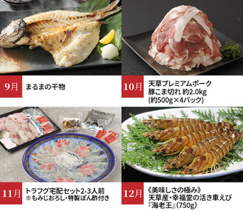 S999-T04_【定期便12回】天草市堪能12ヵ月定期便