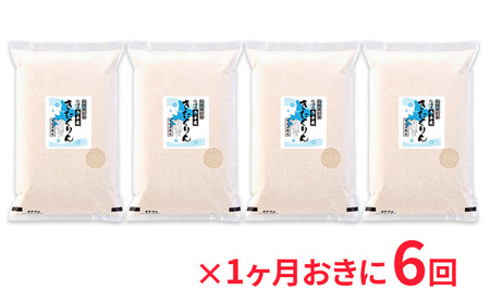 北海道赤平産 きたくりん 20kg (5kg×4袋) 特別栽培米 【1ヶ月おきに6回お届け】 米 北海道 定期便 お米 