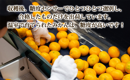 【6〜8月発送】山北温室みかん 1.2kg ミカン蜜柑 ku-0050
